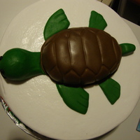 Turtle Turtle was make of cake and then covered in fondant.