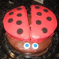 Ladybug Cake Easy to make, yet looks quite unique. Was able to use normal round baking pans -- which is always a plus.