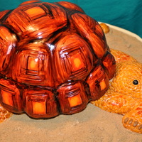 Tortoise Cake I made this cake for a 3 years old little boy inspired on the book "Party Animal Cakes by Lindy Smith".The cake was Vanilla with...