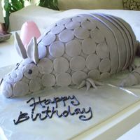 Armadillo Bleeding Armadillo like the one in Steel Magnolias