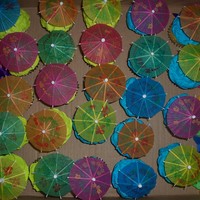 Lime Green And Blue Cupcakes Done for a Luau themed bridal shower.