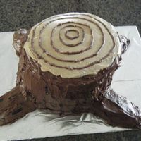 Tree Stump 