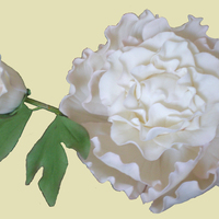 Cabbage Peony Gumpaste Cabbage Peony