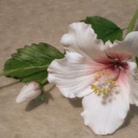 Hibiscus3.jpg This is a hibiscus spray from my gumpaste class a couple of weeks ago!