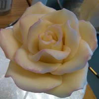 Modeling Chocolate Rose This rose is made out of modeling chocolate & lightly dusted with a pink luster dust. I'm SO happy I took a picture in class... on...