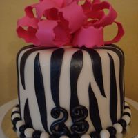 Just Another Zebra Cake... So I'm obsessed with making zebra cakes now. This was for my son's play therapist's birthday. I dusted it with luster dust,...