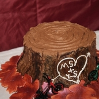 November Grooms Cake The Groom's cake I made to go with the November Wedding cake in my pics. The couple like to ride mountain bikes together , so that...