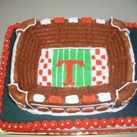 Vols Football Stadium Cake This is a Tennessee Vols football cake I made for a friends son's 7th birthday. The sheet cake is all chocolate. The stadium is white...
