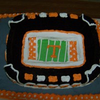 Daniel's Cake The groom's cake I made for my friends wedding. He is a HUGE Tn. fan. Chocolate cake, baked in a stadium shaped pan and placed on a...