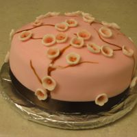 Small Cherry Blossom Cake This is a cake I made for my sister's graduation. Pink is her favourite colour, and the cherry blossoms represent a new beginning. It...