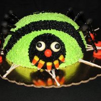 Spider Cake 
