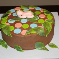Baby Shower Cake 