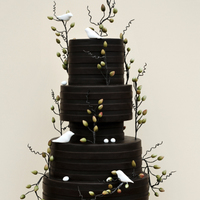 Dark Chocolate Stripes Anyways, this cake was done back in January for the March issue of Cake Central Magazine. Jackie wanted something dark with a splash of...