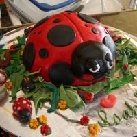 Cimg0664.jpg I made two of these lady bug cakes for my twin granddaughters who are in love with bugs. I surrounded the cake with all sorts of...