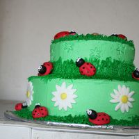 Img_5507.jpg Ladybug cake I did for a block party.