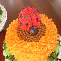 Lady Bug All cakes are butter cream, this was just fun to make for my friends girls.
