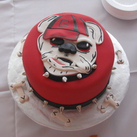 Ga Bulldog Cake 10" covered in fondant with all fondant accents. The face was hand painted. I copied a cake I googled on the internet. Thanks to...