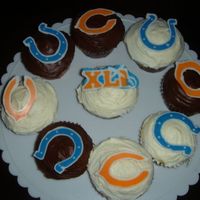 Superbowl Xli Cupcakes These are SuperBowl cupcakes that I made for the game. There are chocolate transfers of the Bears, Colts and SuperBowl logos.