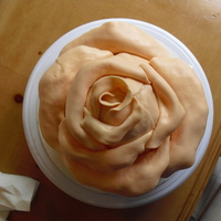 Rose First time trying to do a rose cake.
