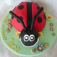 Ladybeetle! My first ladybeetle covered in fondant. Chocolate mud covered in chocolate ganche. I used drinking straws covered in fondant for the...
