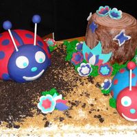 Lady Bug Cake My first real cake after shoulder surgery. I made this to see is my shoulder could take rolling out fandant, so far so good! It was blue...