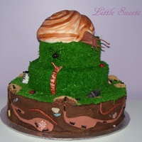 Bug Cake Four tiered cake, buttercream icing, fondant decorations. Snail is cake covered in rolled fondant. thanks for looking!