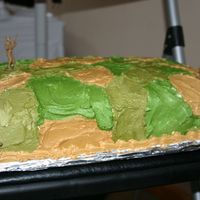 Different View Of Camo Cake 