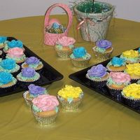 Career Fair Cupcakes Just simple cupcakes for a career fair, everyone loved the spring colors. I was hoping to inspire Spring to get here but hasn't gotten...