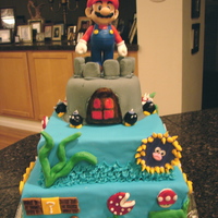 Super Mario Bros This is a chocolate cake with fudge filling. The entire cake is MMF and the castle is gumpaste. I also used BC frosting for some...