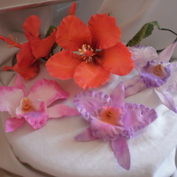 Sugar Hibiscus And Orchids Here is my first attempt at a Hibiscus spray on wires. Have done one before but not with wires. This is my very first attempt at Orchids....