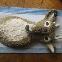 Deer Head This is my first sculpted cake. I made it for my dad's B-day. The ugly look of the rack is really how the rack looked. This was the...