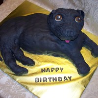 Black Lab Hand carved rounds, covered in fondant. Head was made with krispies and covered in fondant.