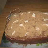 Dinosaur Dig Zone This is a white cake with chocolate buttercream filling and icing. The bones are made with Marshmallow fondant, and the cake is covered in...