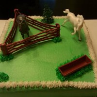 Horse this was made for the brother of the 1 yr old that went along with the barn theme