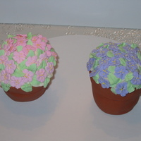 Cupcake Potted Plants Jumbo red velvet cupcakes, split and covered in cream cheese frosting with marshmallow terracotta pots & royal icing flowers &...