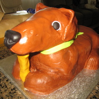 Dog Cake 