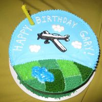 Airplane Birthday Cake This was my first "real" decorated cake! I made this for my father-in-law's birthday - he is a pilot. WASC cake with...