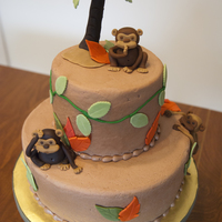 Monkey Cake! 