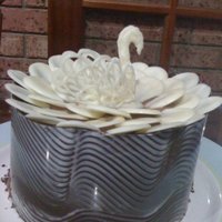 Chocolate Swan Cake chocolate mud cake, layered with chocolate mousse. white and dark chocolate collar chocolate toppings & swan