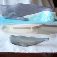 Whale Cake My first sculpted cake. This was a birthday cake for a woman who has a passion for whales. Vanilla cake with vanilla buttercream and rolled...