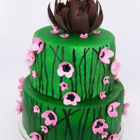 Unique Two Tier Cake. Two tier cake covered with white fondant and airbrushed green. It was my first time using an airbrush which is why the color is a little...