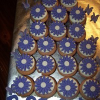 Breana's Cupcakes vanilla cupcakes with vanilla buttercream and purple gerbra daisy's and butterflies for a little girls birthday.