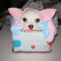 Jackie Cake My best friend's little girl's birthday cake! It took be about 10 hours, not including the chihuahua head (her name is Jackie),...