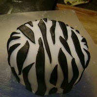 Zebra Cake This is my first attempt at making a zebra cake its made with marshmellow fondant and the cake is one layer butter and one layer chocolate...