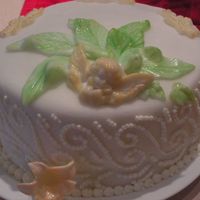 My First Cake Creation Hello, I am a new to the cake decorating world and would very much like to become a pro and start my own business.This is the first cake I...