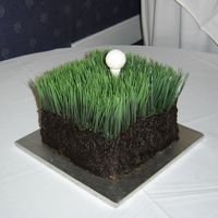 Golf Anyone? chocolate cake, choc cc icing, white choc ball & tee. Wheat "grass" wasfrom Michael's