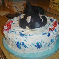 Killer Whale Birthday cake for my daughter who works for Sea World. She loves the killer whales. Whale made out of RKTs dipped in chocolate and covered...