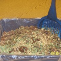 Kitty Litter Cake crumbled white and choc. cake with crushed vanilla cream cookies Cream cheese pudding mised with molded tootsie roll turds... so much fun...