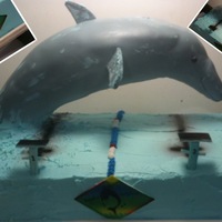 Diving Dolphin Cake This was made for a swimteam appreciation picnic. 12x18 marble & the dolphin is red velvet diving over the lanes of the pool. The...