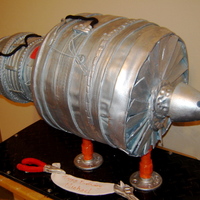 Aircaraft Engine Gm This cake was made for a aircraft engine director of GM. It was for his birthday, the cake was suspend it, like the real one. It was...